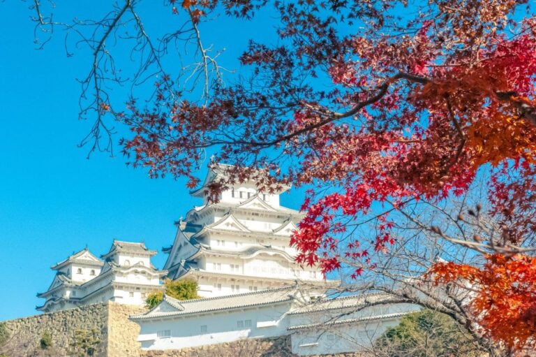 Osaka: Himeji Castle, Arima Onsen & Mt. Rokko 1 Day Bus Tour Tour Overview And Details