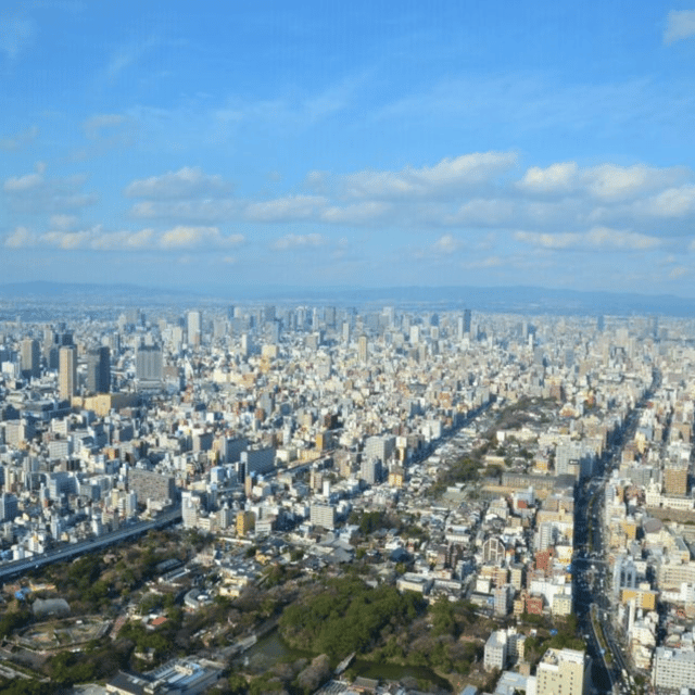 Osaka: Private Customizable Tour By English Speaking Driver - Tour Overview