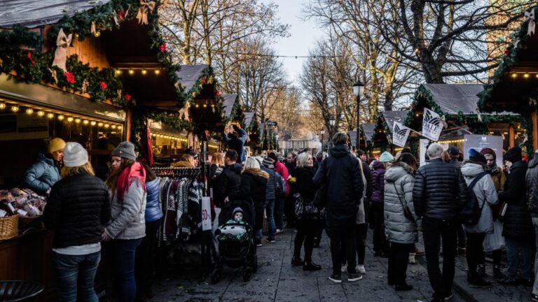 Oslo: City Highlights Christmas Walking Tour Strolling Through Karl Johans Gate