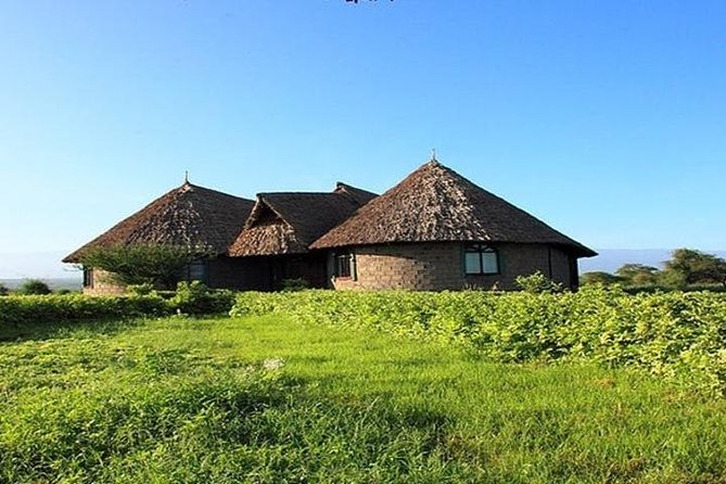 Overnight Amboseli National Park Safari From Nairobi Amboseli National Park