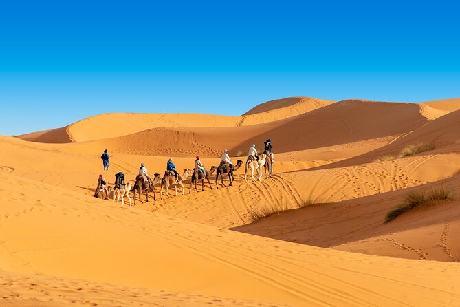 Overnight Camel Trek In Merzouga Dunes Highlights Of The Trek