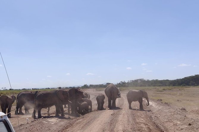 Overnight Safari To Amboseli National Park Tour Details