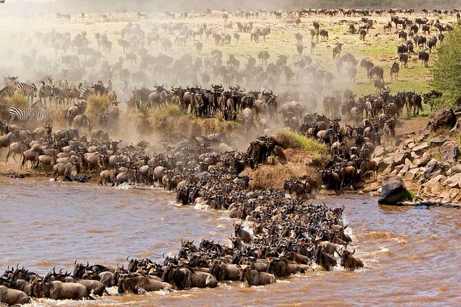 Overnight Safari To Maasai Mara Tour Overview