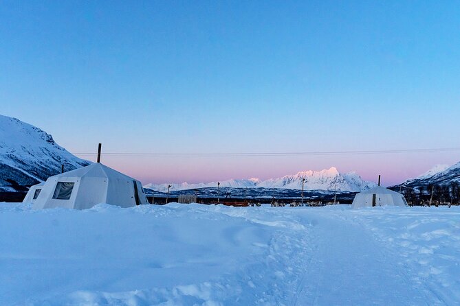 Overnight Stay With Reindeer Sledding & Feeding Tour Overview