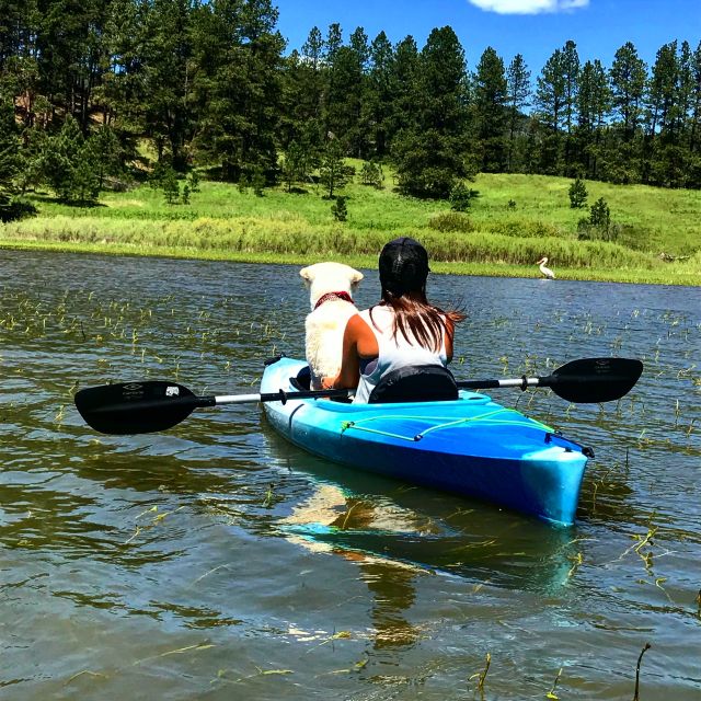 Pactola Lake: Private Kayak Or Paddleboard Experience Exploring Pactola Lake