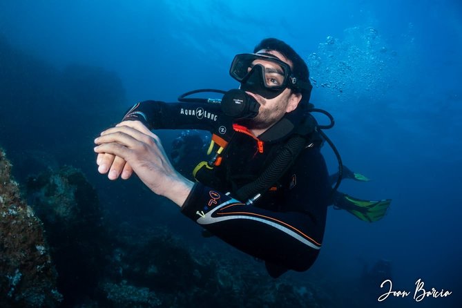 Padi Open Water Diver Course Scuba Equipment Provided