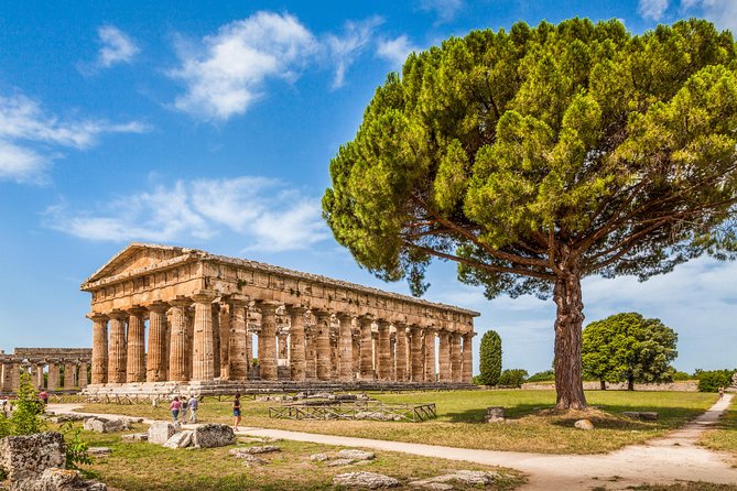 Paestum: the Greek Temples and the Archaeological Museum Private Tour - Tour Overview