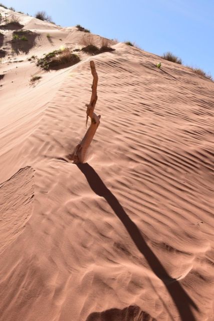 Page: Traditional Navajo Hogan Stay & Antelope Canyon Tour - Activity Details