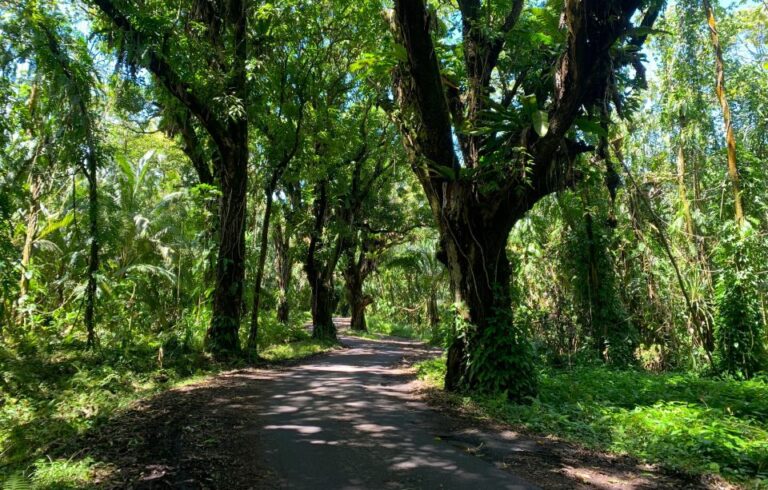 Pāhoa: Short Private Hike To Secret Jungle Tide Pool Activity Overview