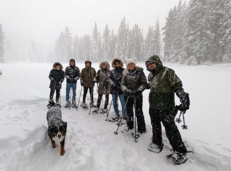 Palisades Point Half Day Snowshoeing Hike Activity Overview