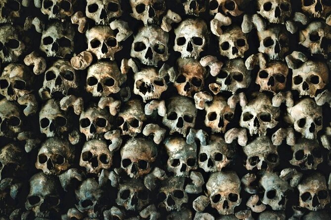 Paris: Catacombs With Audio Guide & Optional River Cruise Location And Accessibility