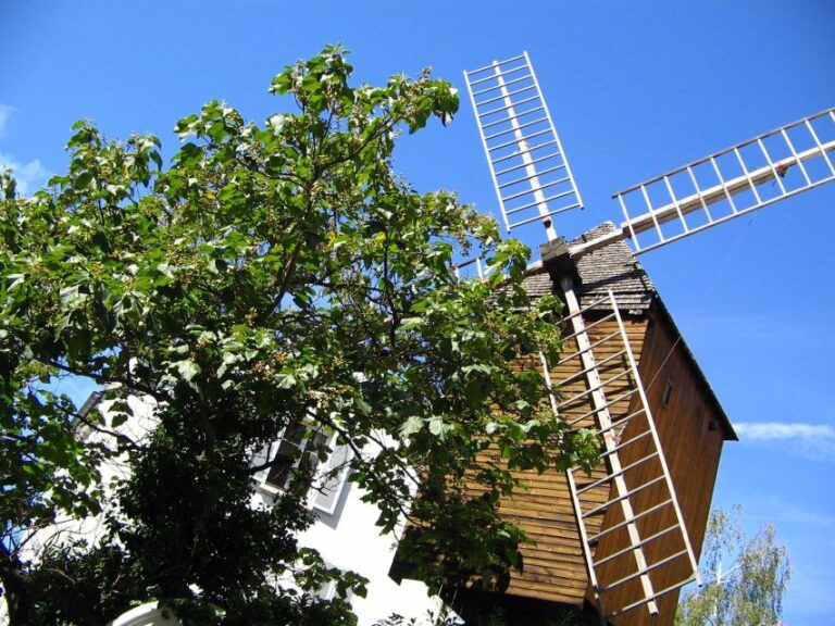 Paris: Montmartre Private Walking Tour Exploring Montmartres Bohemian Streets