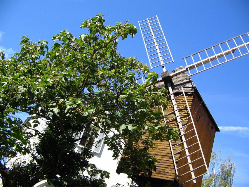 Paris: Montmartre Private Walking Tour - Exploring Montmartres Bohemian Streets