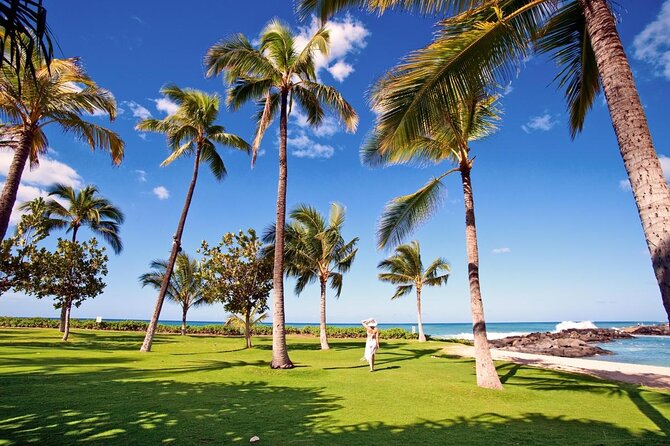 Pearl Harbor History Remembered Tour From Ko Olina - Inclusions and Accessibility