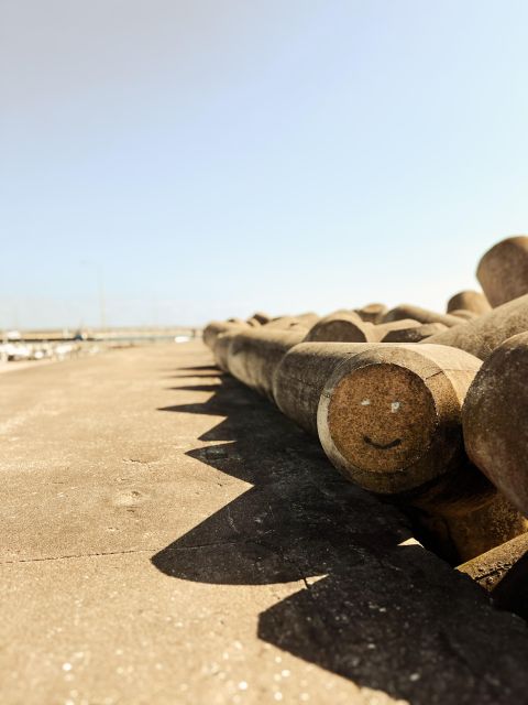 Peniche : Walking Tour Tour Overview