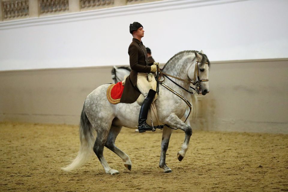 Performance Of The Lipizzans At Spanish Riding School - Duration and Highlights