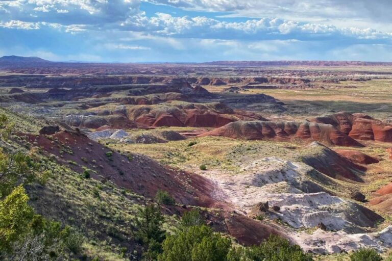 Petrified Forest National Park Self Guided Audio Tour Tour Overview And Pricing