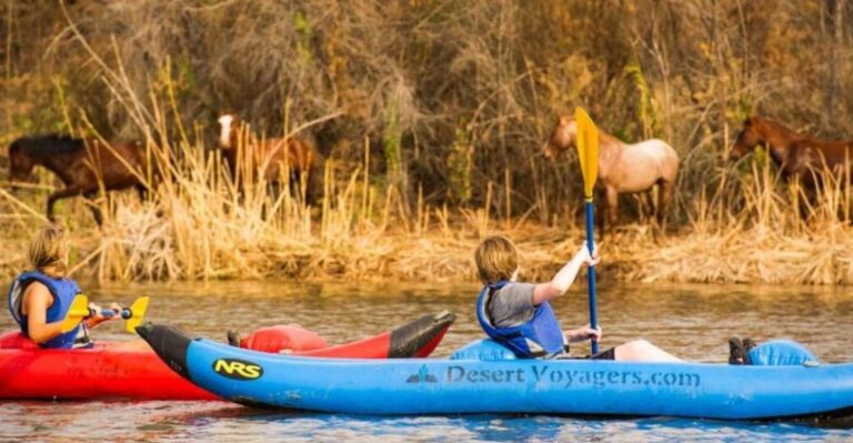 Phoenix & Scottsdale: Lower Salt River Kayaking Tour General Information