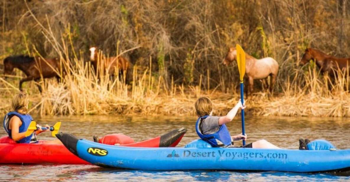 Phoenix & Scottsdale: Lower Salt River Kayaking Tour - General Information