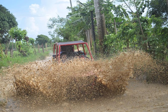 Platinum Buggy Adventure Tour Overview