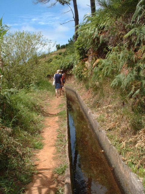 Pleasures: Full-Day Nature Walk - Highlights of the Experience