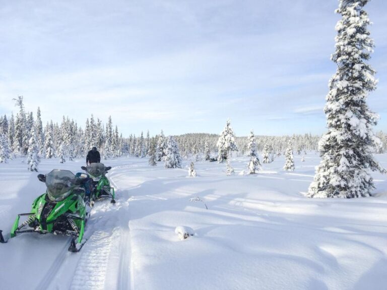 Polar Nature Tour On Snowmobile Activity Details