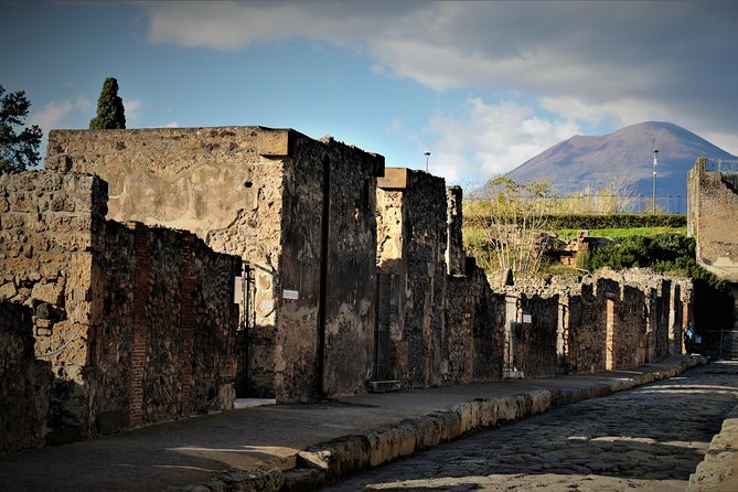 Pompeii Archeological Site Fast Track Entry Ticket Ticket Pricing And Availability