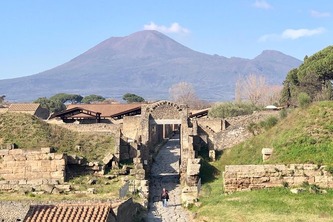 Pompeii Private Guided Tour Skip the Line - Whats Included