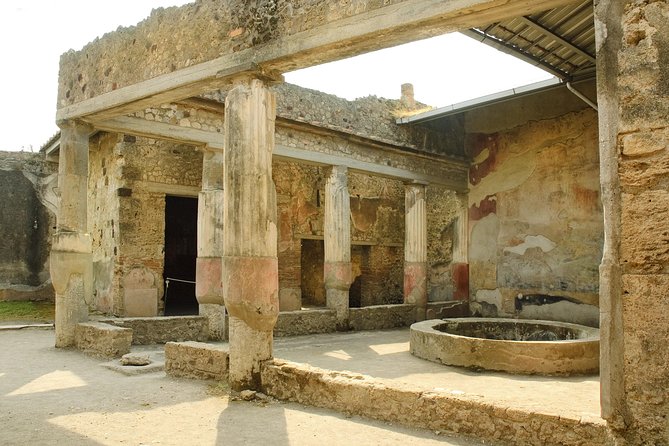 Pompeii, Vesuvius, Wine Tasting and Light Lunch All Inclusive - Overview of the Tour