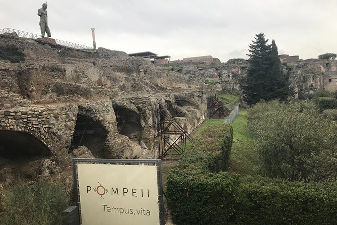 Pompeii Wine Tasting Tour From Positano - Tour Details and Highlights