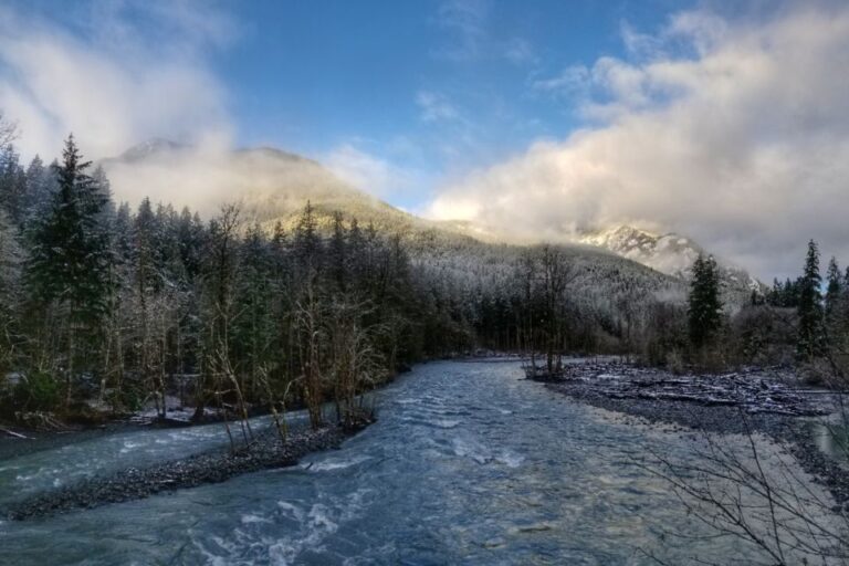 Port Angeles: Olympic National Park Driving Audio Tour Tour Overview And Pricing