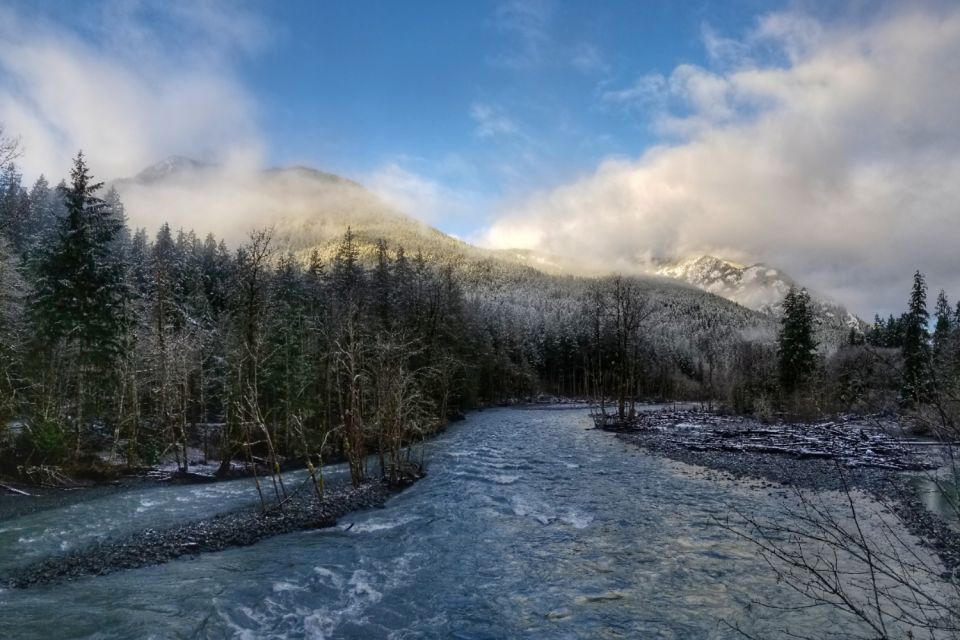 Port Angeles: Olympic National Park Driving Audio Tour - Tour Overview and Pricing