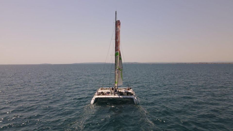 Port Camargue: Half-Day Sailing Tour on a Racing Catamaran - About the Catamaran