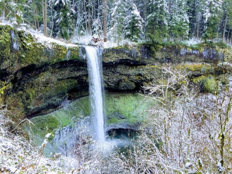 Portland: Silver Falls Hike Exploring Portlands Natural Wonders