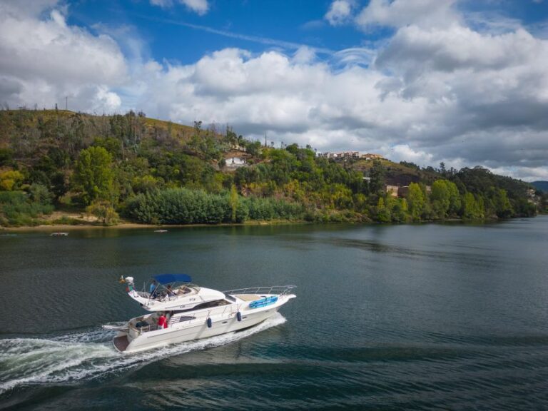 Porto: Cruise On The Douro River Discovering Régua Marina Da Afurada Crestuma Lever