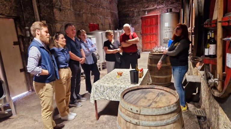 Porto: Douro Valley And Wine Tour With Cruise & Winery Lunch Tour Details