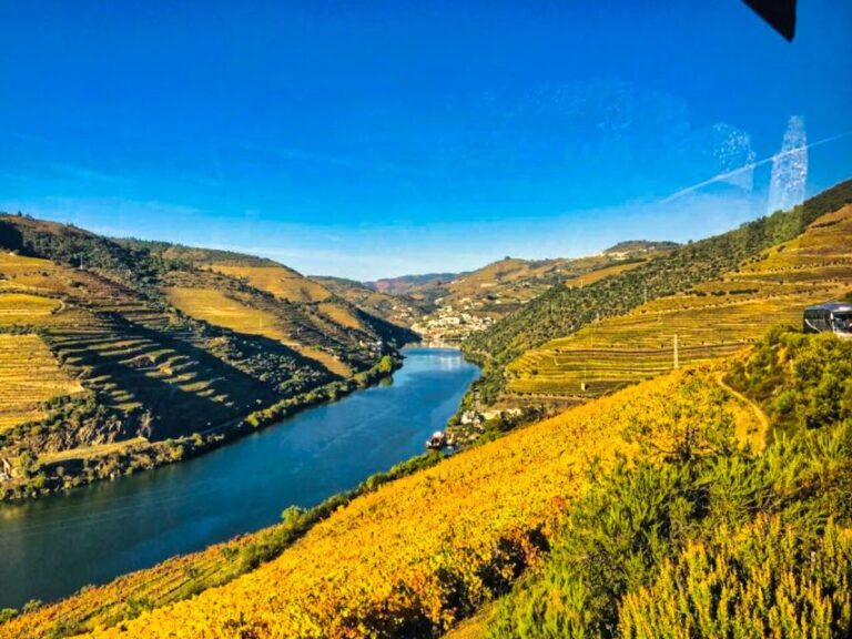 Porto: Douro Valley Tour With 3 Wineries & Lunch Tour Overview