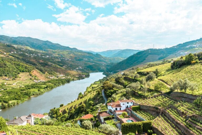 Porto: Douro Valley Tour With Wine Tasting, Cruise And Lunch Tour Description