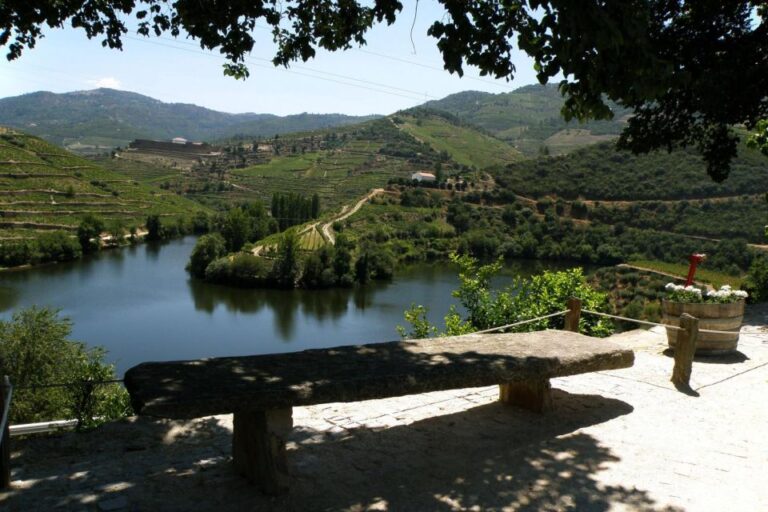 Porto: Douro Valley Wine Tour Tour Overview