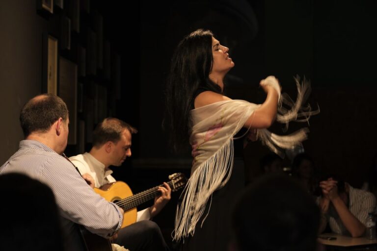 Porto: Intimate Fado Concert Ticket With A Glass Of Wine Event Overview