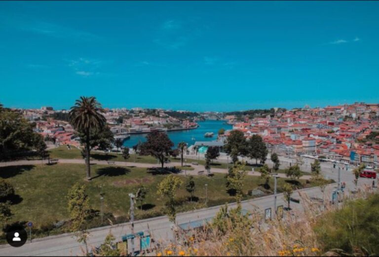 Porto: Monuments, Landmarks, And Cuisine Tour Exploring Portos Iconic Landmarks