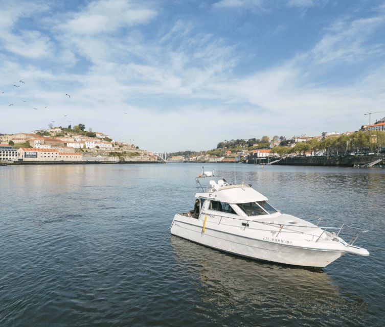 Porto: Private Douro River Sunset Cruise - Cruise Details