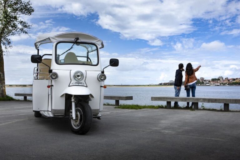 Porto: Private Sightseeing Tour By Electric Tuk Tuk Tour Overview