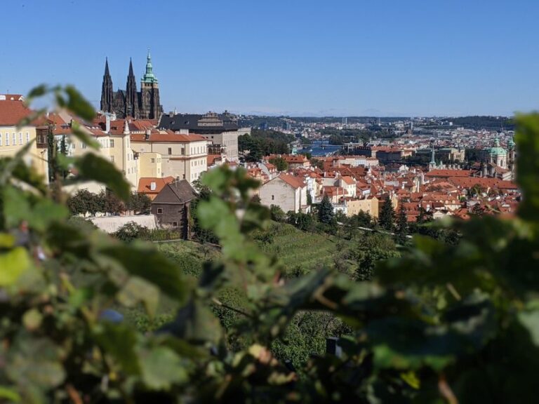 Prague: Private Full Day Tour With Prague Castle Tickets Tour Overview And Pricing