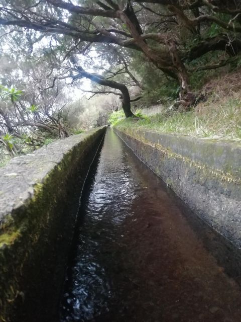 Private - 25 Fontes and Risco Waterfall Guided Tour - Pickup and Drive to Calheta