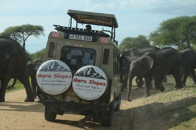 Private 4 Days Safari In Tarangire, Serengeti And Ngorongoro Pickup And Logistics