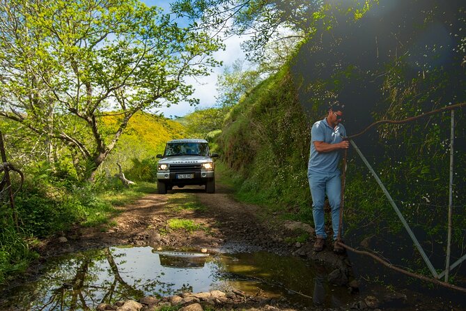 Private 4x4 Jeep Half Day Picturesque Peaks, Vineyards, Skywalk Experience Highlights