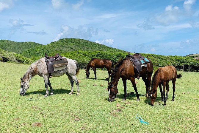 Private Advanced Horseback Beach Ride With Sandy Hoofs St. Lucia - Canter Along Lapin Bay Beach