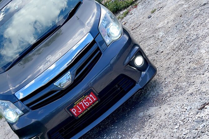 Private Airport Transfer To/From All Hotels in Negril Round Trip - Overview of the Service