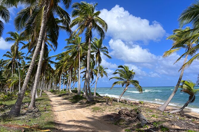 Private ATV Punta Cana – Atlantic Coastline Ride & LaVacama Beach - Tour Overview